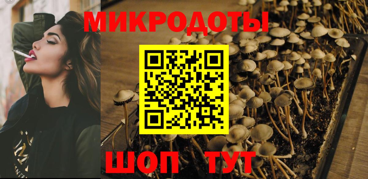 Ноябрьск  цена наркотик  Псилоцибиновые грибы Cubensis  Вход с VPN  Галлюциногенные грибы MAGIC MUSHROOMS 
