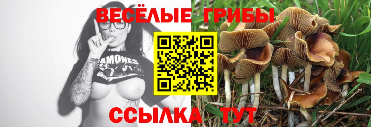 Мефедрон  МДМА  Alpha-PVP СК кристаллы  Вход с VPN  КЕТАМИН  Амфетамин кристаллы  Марихуана  ЭКСТАЗИ  Меф кристаллы  Ноябрьск  ГАШ  COCAIN  ГАШ 